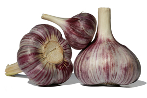 Mor sarımsak bir bahar çeşididir