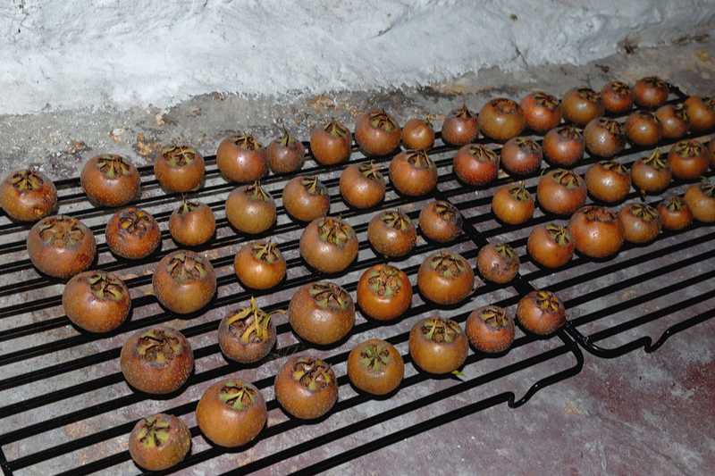 muşmula hasat korumak koruma tüketmek