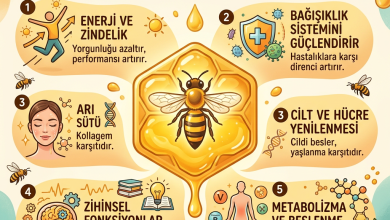 Infographic showing six key benefits of bee milk including energy, immunity, skin renewal, mental functions, and metabolism
