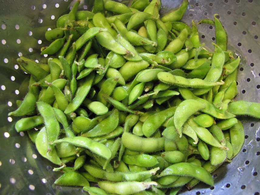 soya glisin maksimum
