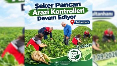 Şeker pancarında arazi kontrolü 1 seker pancarinda arazi kontrolu 1789849675 kxnbcZ