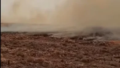 Eskil’de Anız Yakılmasına Karşı Uyarı: Mısır Saplarını Yakmak Doğaya Zarar Veriyor 48 457372097631999 Hr5ejB